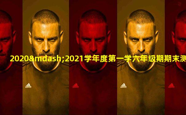 2020—2021学年度第一学六年级期期末测试卷
