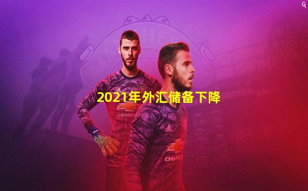 2021年外汇储备下降