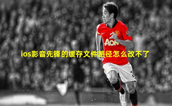 ios影音先锋的缓存文件路径怎么改不了