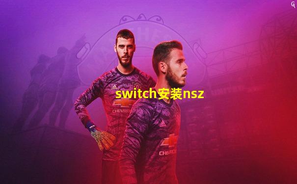 switch安装nsz