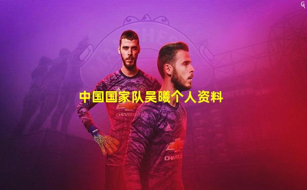 中国国家队吴曦个人资料