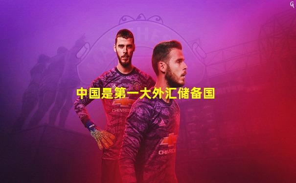 中国是第一大外汇储备国