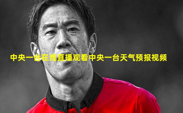 中央一台在线直播观看中央一台天气预报视频