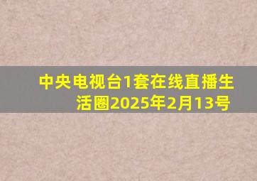 中央电视台1套在线直播生活圈2025年2月13号