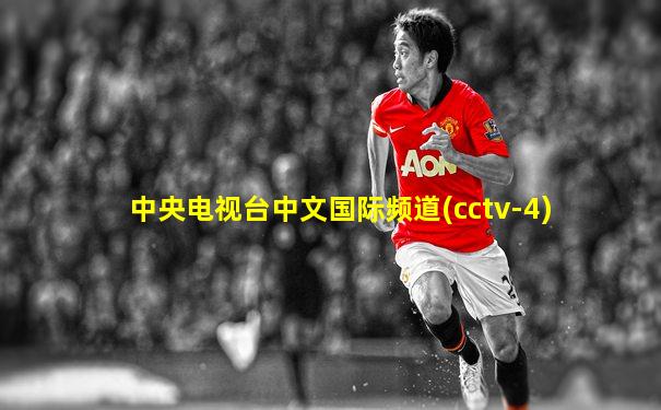 中央电视台中文国际频道(cctv-4)