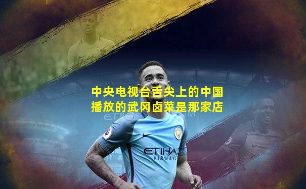 中央电视台舌尖上的中国播放的武冈卤菜是那家店