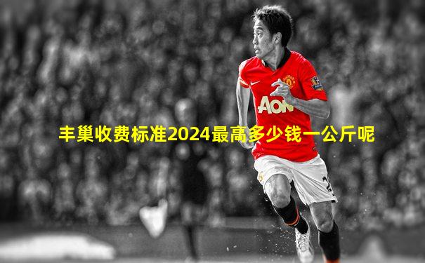 丰巢收费标准2024最高多少钱一公斤呢