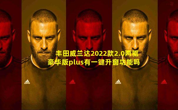 丰田威兰达2022款2.0两驱豪华版plus有一键升窗功能吗