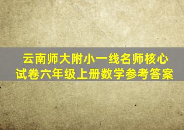 云南师大附小一线名师核心试卷六年级上册数学参考答案