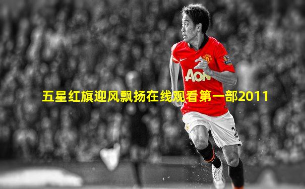 五星红旗迎风飘扬在线观看第一部2011