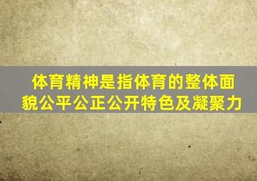 体育精神是指体育的整体面貌公平公正公开特色及凝聚力
