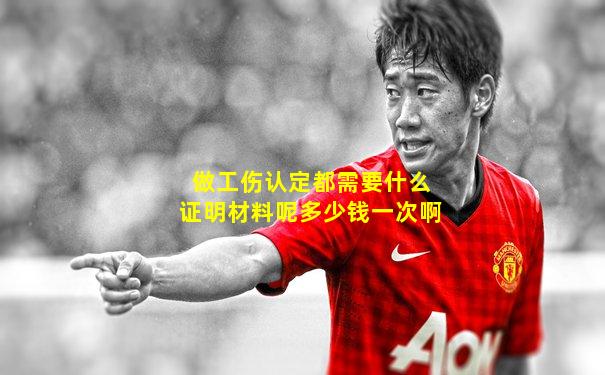 做工伤认定都需要什么证明材料呢多少钱一次啊