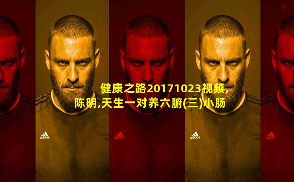 健康之路20171023视频,陈明,天生一对养六腑(三)小肠