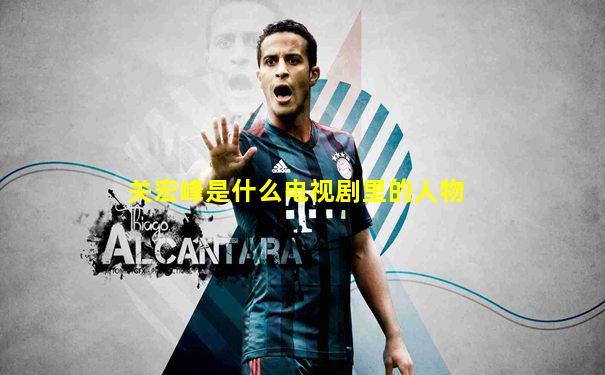 关宏峰是什么电视剧里的人物
