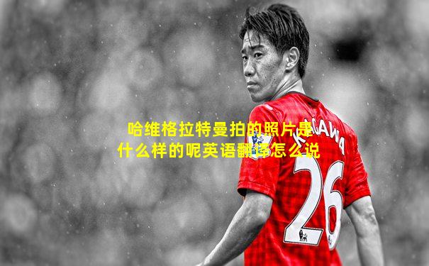 哈维格拉特曼拍的照片是什么样的呢英语翻译怎么说