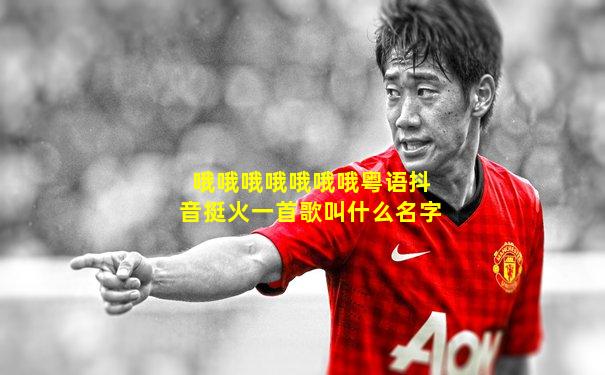 哦哦哦哦哦哦哦粤语抖音挺火一首歌叫什么名字