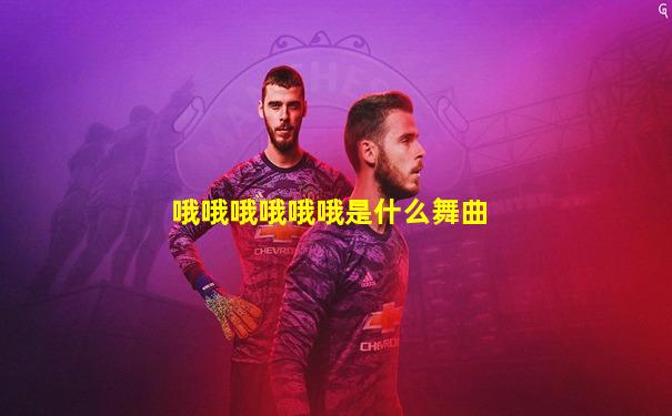 哦哦哦哦哦哦是什么舞曲