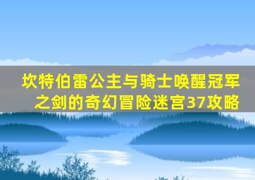 坎特伯雷公主与骑士唤醒冠军之剑的奇幻冒险迷宫37攻略