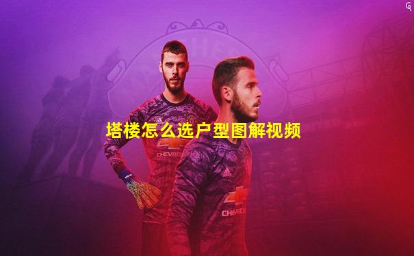 塔楼怎么选户型图解视频