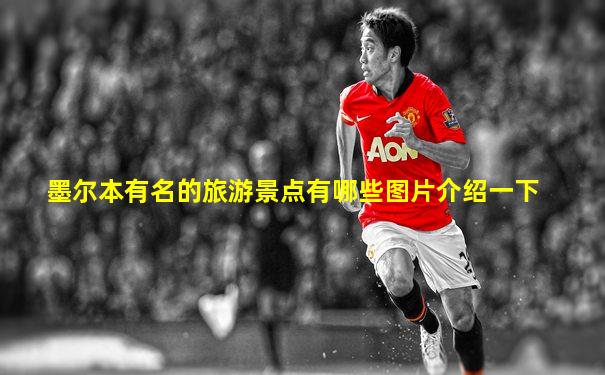 墨尔本有名的旅游景点有哪些图片介绍一下