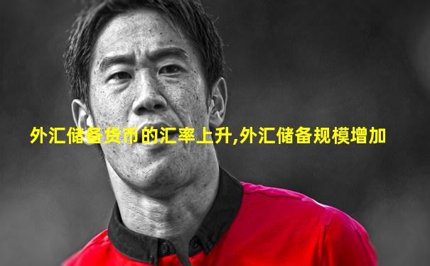 外汇储备货币的汇率上升,外汇储备规模增加