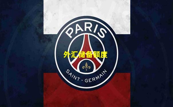 外汇储备额度