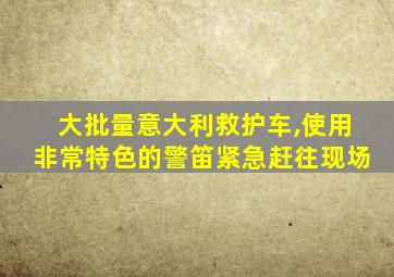 大批量意大利救护车,使用非常特色的警笛紧急赶往现场