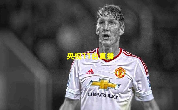 央视11台直播