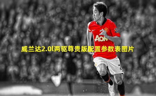 威兰达2.0l两驱尊贵版配置参数表图片