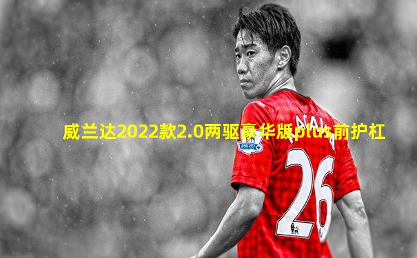 威兰达2022款2.0两驱豪华版plus前护杠