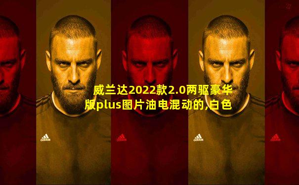 威兰达2022款2.0两驱豪华版plus图片油电混动的,白色