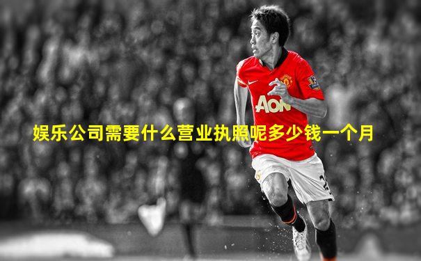 娱乐公司需要什么营业执照呢多少钱一个月