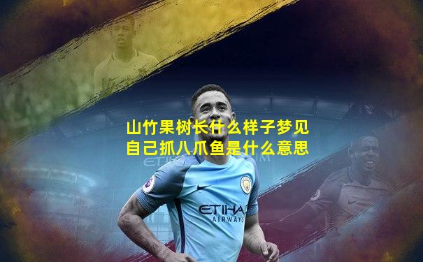 山竹果树长什么样子梦见自己抓八爪鱼是什么意思