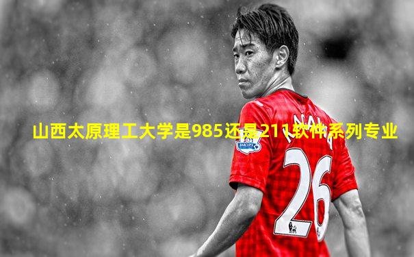 山西太原理工大学是985还是211软件系列专业