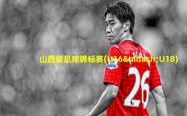山西省足球锦标赛(U16—U18)