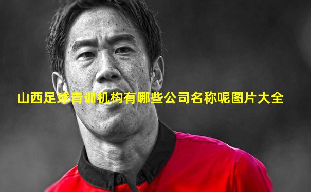 山西足球青训机构有哪些公司名称呢图片大全