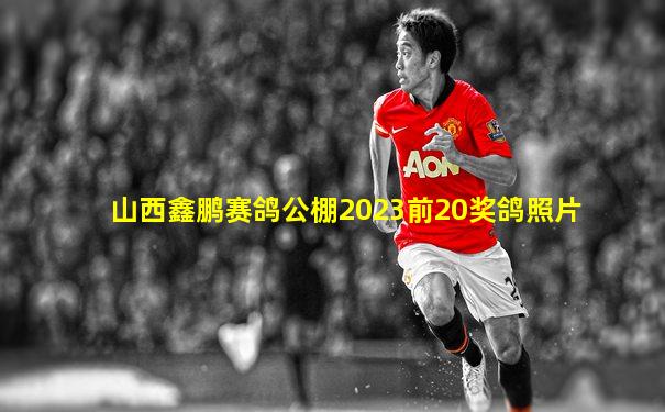 山西鑫鹏赛鸽公棚2023前20奖鸽照片