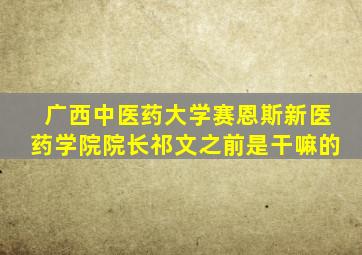 广西中医药大学赛恩斯新医药学院院长祁文之前是干嘛的