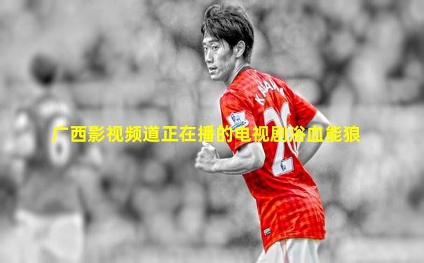 广西影视频道正在播的电视剧浴血能狼