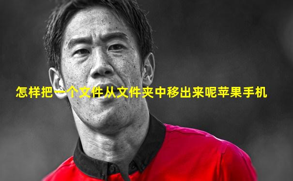 怎样把一个文件从文件夹中移出来呢苹果手机