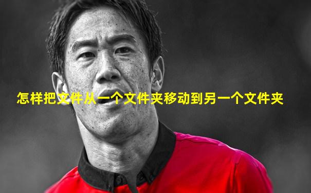 怎样把文件从一个文件夹移动到另一个文件夹