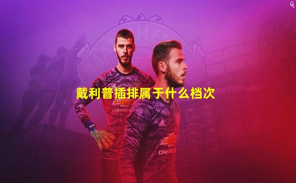 戴利普插排属于什么档次