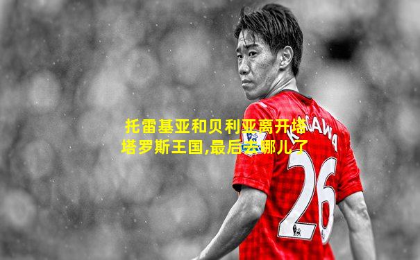 托雷基亚和贝利亚离开塔塔罗斯王国,最后去哪儿了