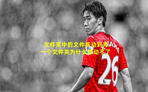 文件夹中的文件移动到另一个文件夹为什么移动不了