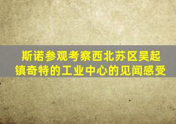 斯诺参观考察西北苏区吴起镇奇特的工业中心的见闻感受