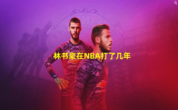 林书豪在NBA打了几年