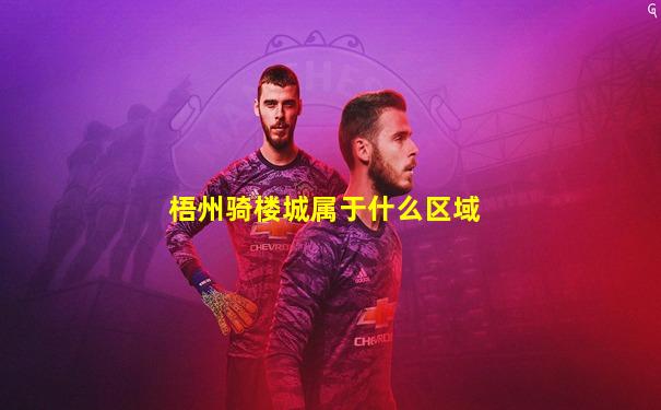 梧州骑楼城属于什么区域