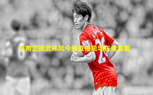 河南卫视武林风今晚直播现场在线观看