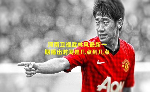 河南卫视武林风最新一期播出时间是几点到几点