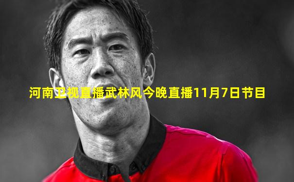 河南卫视直播武林风今晚直播11月7日节目